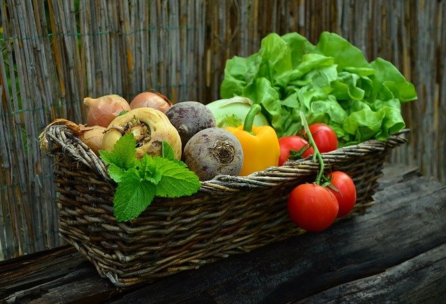 おいしい野菜を食べてみよう！